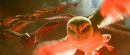 貓頭鷹守護神 Legend of the Guardians: The Owls of Ga’Hoole 劇照2