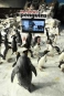 波普先生的企鵝 Mr. Popper’s Penguins 劇照8