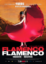 佛朗明哥：傳奇再現 Flamenco, Flamenco