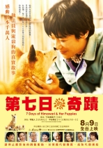第七日的奇蹟 7 Days of Himawari & Her Puppies