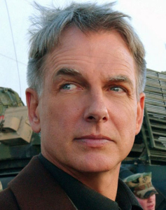 馬克漢蒙 Mark Harmon 馬克漢蒙 Mark Harmon
