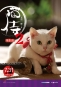 貓侍 電影版2 NEKO SAMURAI – A Tropical Adventure 海報1