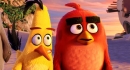憤怒鳥玩電影 The Angry Birds Movie 劇照2