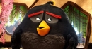 憤怒鳥玩電影 The Angry Birds Movie 劇照3