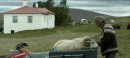 羊男的冰島冒險 Rams 劇照1