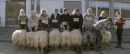 羊男的冰島冒險 Rams 劇照7