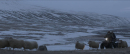 羊男的冰島冒險 Rams 劇照8