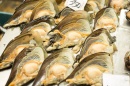 築地市場：和食之心 Tsukiji Wonderland 劇照7