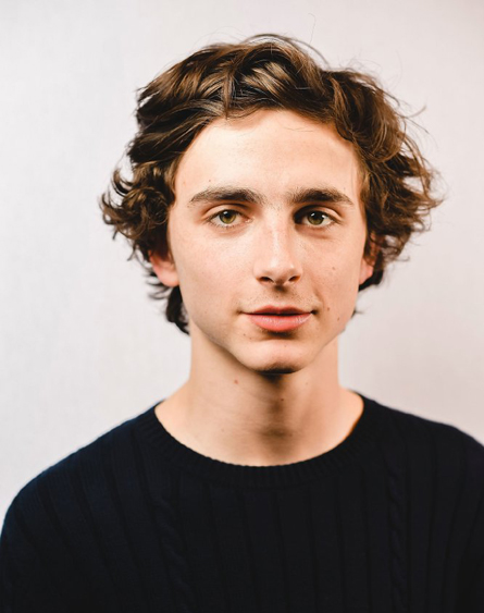 提摩西夏勒梅 Timothée Chalamet 提摩西夏勒梅 Timothée Chalamet