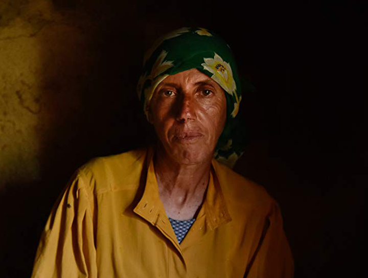 締造奧斯卡影史紀錄!【大地蜜語】歷時三年拍攝歐洲最後一位女性養蜂人 締造奧斯卡影史紀錄!【大地蜜語】歷時三年拍攝歐洲最後一位女性養蜂人