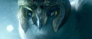 貓頭鷹守護神 Legend of the Guardians: The Owls of Ga’Hoole 劇照1