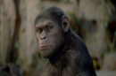 猩球崛起 Rise of The Planet of The Apes 劇照3