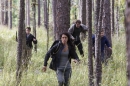 雞餓遊戲 The Starving Games 劇照23