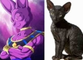 七龍珠 Z劇場版 ：神與神 Dragon Ball Z: Battle of Gods 劇照8