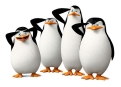 馬達加斯加爆走企鵝 The Penguins of Madagascar 劇照17