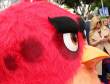 憤怒鳥這夏開心了！【憤怒鳥玩電影】一飛沖天創5月原創動畫開片票房新高