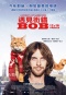 遇見街貓BOB A Street Cat Named Bob 劇照6