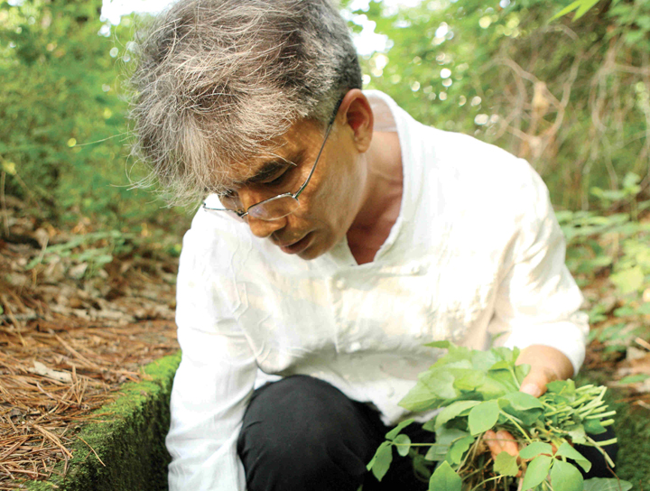 名廚把野草當作寶，【盡孝的滋味】母親不藥不醫活到95歲