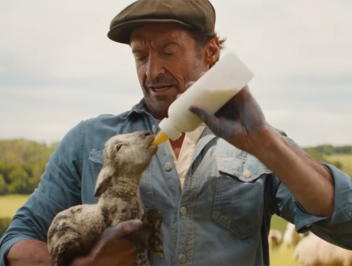 為心愛的主人休傑克曼緝兇！最可愛【綿羊偵探團】電影預告曝光