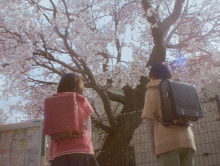 首部真人化電影！新海誠最動人故事【秒速5公分真人版】破23億日圓