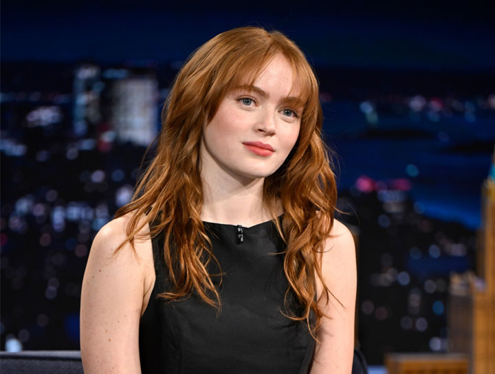 「怪奇物語」第五季伊萊雯最後的命運？莎蒂辛克的答案斬釘截鐵！