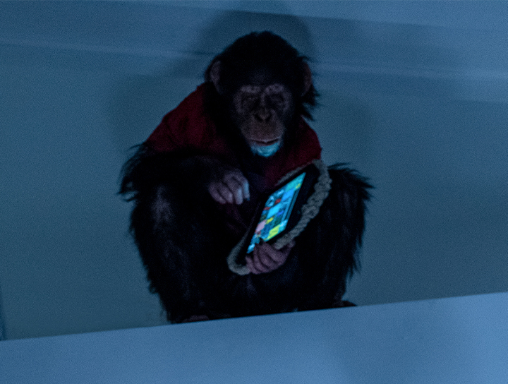 噴血量超標！【猩瘋血雨】狂噴200公升血漿比「權力遊戲」還狂！