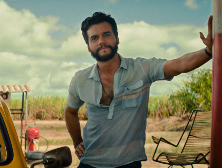 華格納莫拉演出【這不只是個間諜故事】坎城、金球獎連續封帝