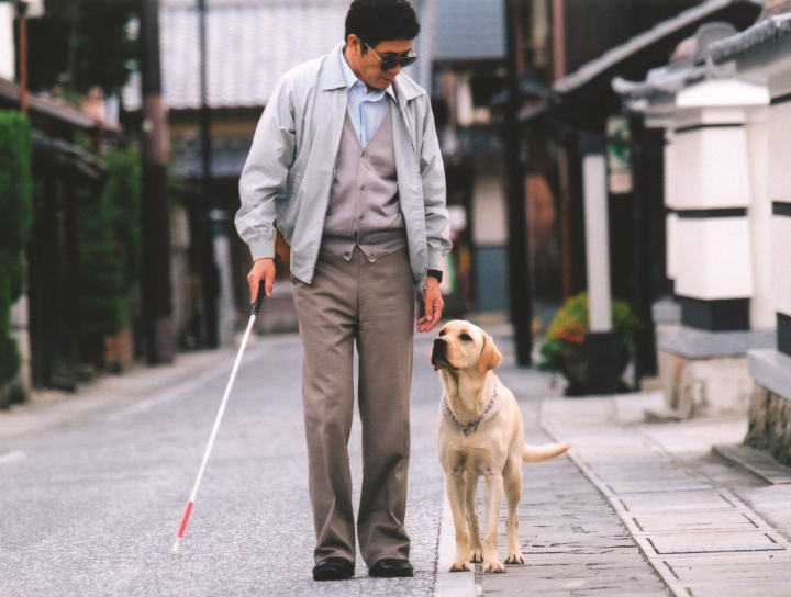 【再見了，可魯】推出數位經典重映，感動22年名作再現大銀幕